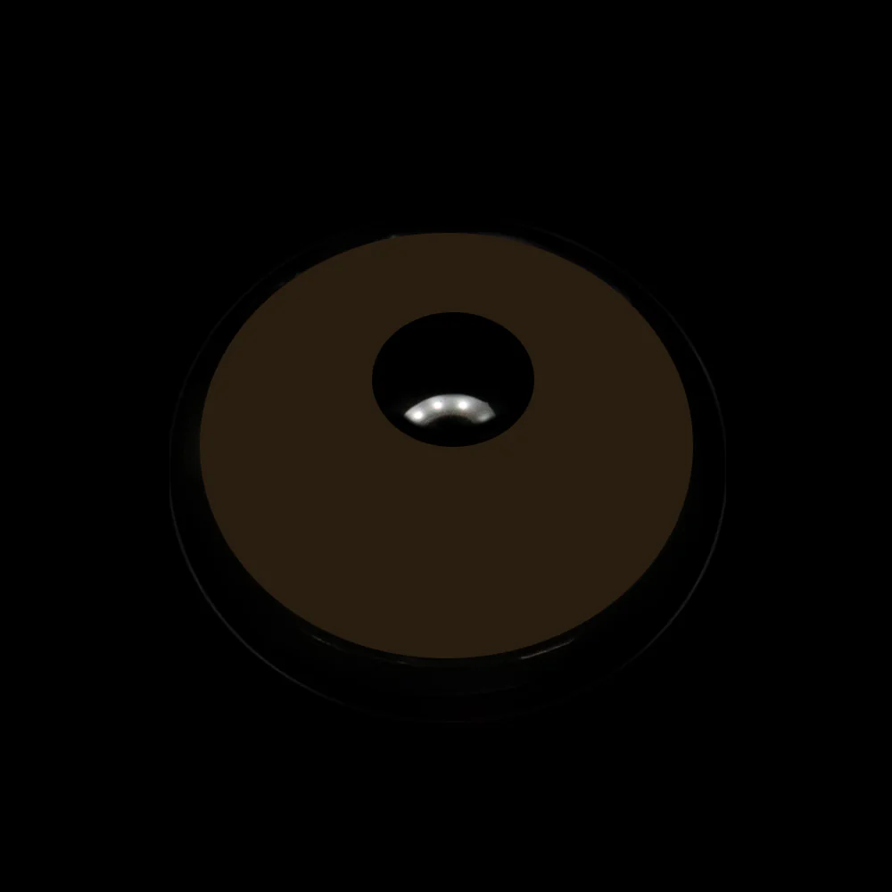 Lightbringer Light Brown Prosthetic Lenses - Image 4