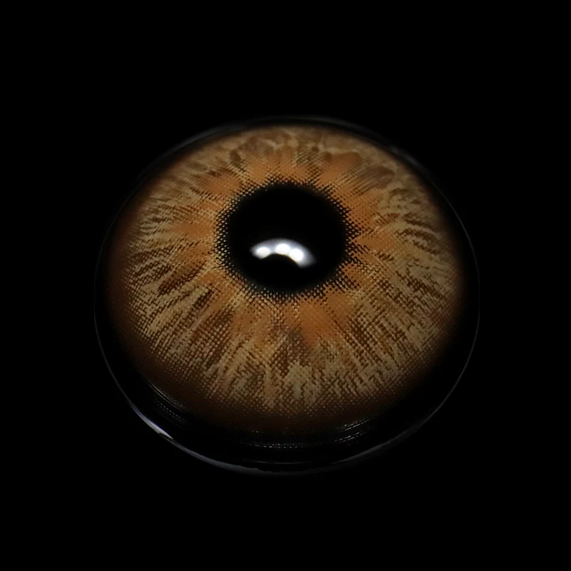 Olivia Brown Colored Contact Lenses - Image 3